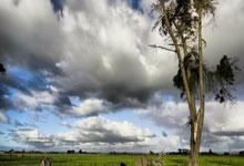 虎扑体育官网：高尔夫——2025蓝湾大师赛开赛.