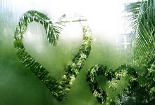 虎扑体育官网：官方：JJ-雷迪克正式成为球队新任主教练.